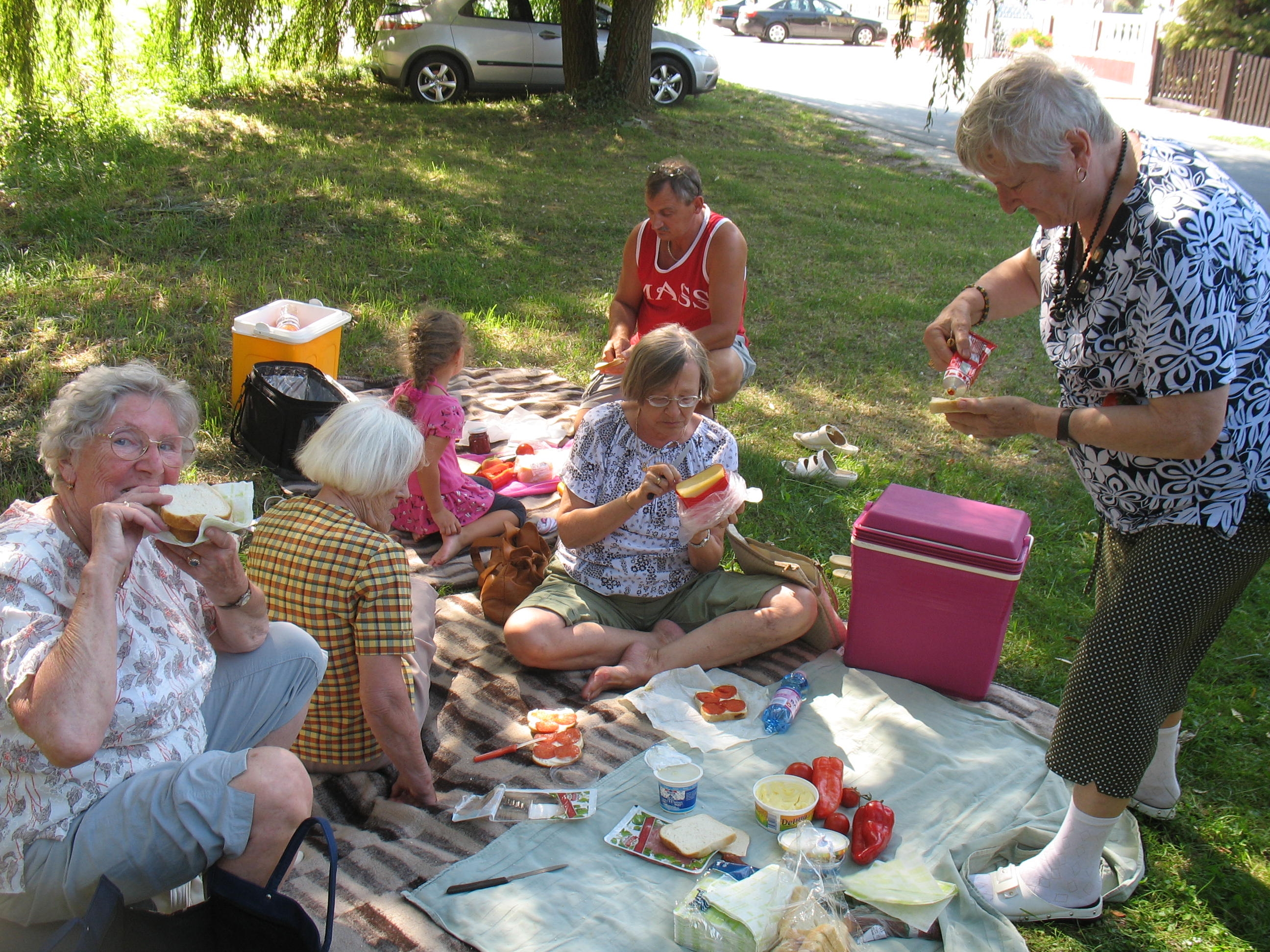 A Balatonnál kirándultak, vetélkedtek és dán vendégeket is fogadtak a Aranysziget Otthon lakói