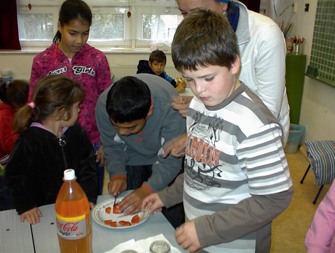 egeszsegnap_100104_5_925_20100104112514_354.JPG