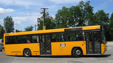 Busz Busz
