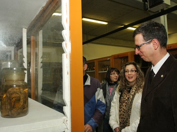 Már dolgoznak a restaurátorok az új múzeumi raktárban 