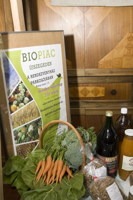 biopiac_rhz_it_3_168_20100512143919_204.jpg