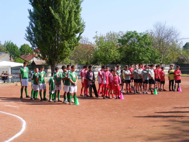 foci_2_787_20100520110343_860.JPG
