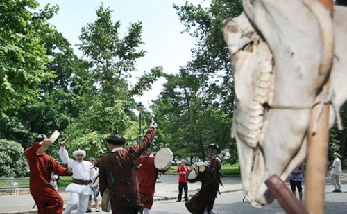 Road show-n a világ legerősebb merevszarvú pusztai íja 
