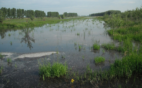 Csökken a Tisza vízszintje, apad a belvíz Csökken a Tisza vízszintje, apad a belvíz
