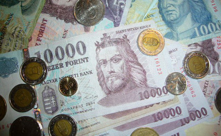 Szeretik a vajdaságiak Csongrád megyét