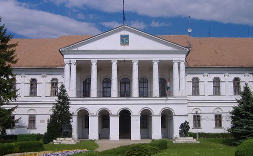 Októbertől már használható az új kártya