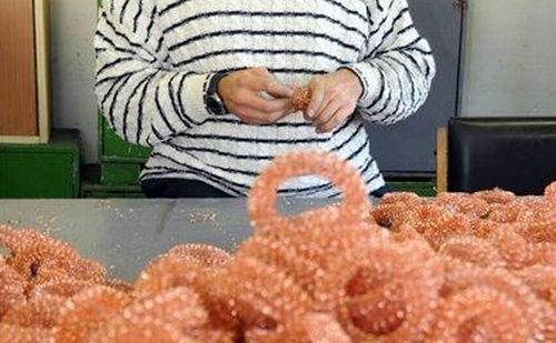 Megváltozott munkaképességűek számára ad lehetőséget a szegedi ecsetgyár