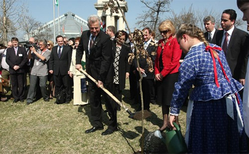Faültetés az Ópusztaszeri Nemzeti Parkban
