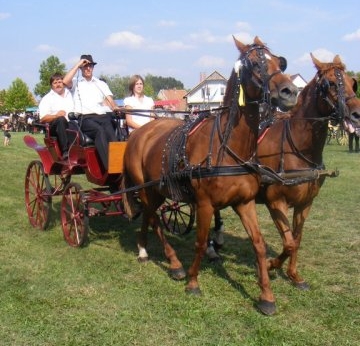 Dél-alföldi Betyárnap és Mezőgazdasági Kiállítás - 2012. 08. 04-05.