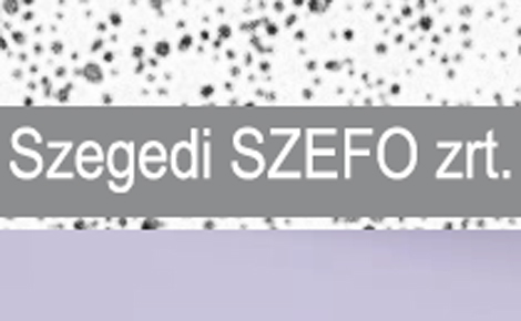 A Szegedi SZEFO Zrt. megállapodása a Kormányivatallal a megváltozott munkaképességűek foglalkoztatása érdekében