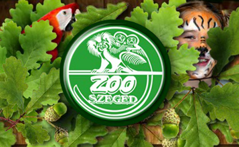 2012-ben is népszerű volt a Zoo Szeged 
