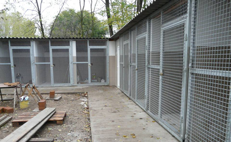  Jelentős beruházás a szegedi Állatvédő Egyesületnél