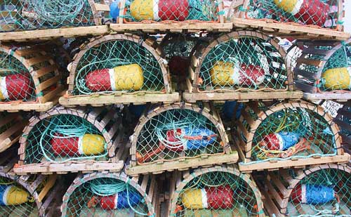 Hitelképességi csapdák