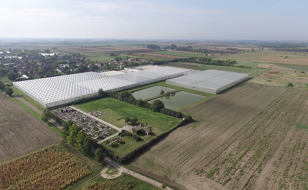 Bővítik a Grow Group felgyői palántanevelő telepét
