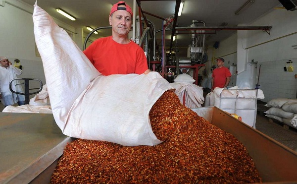 Korszerűsítik a szegedi fűszerpaprika feldolgozót