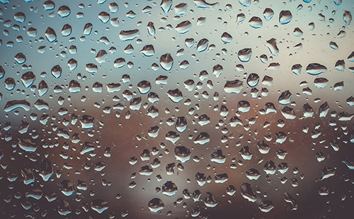 Párátlanítók – társ az otthonunkban