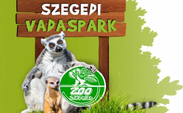 Zoopedagógiai sorozatot indított a világhálón a Szegedi Vadaspark