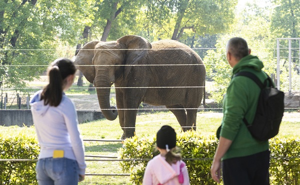 Zoopedagógiai sorozatot indított a világhálón a Szegedi Vadaspark