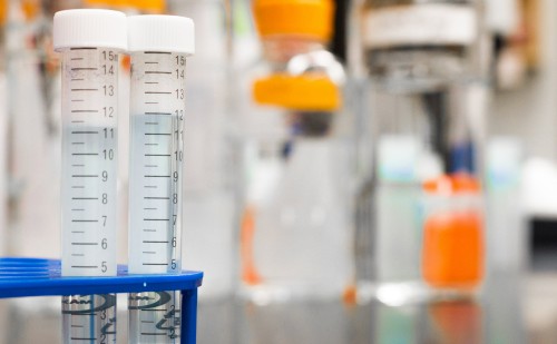 Budapesti céggel dolgoztak együtt a szegedi kutatók 