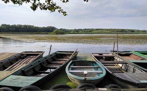 Megkezdték a Holt-Tisza rehabilitációját