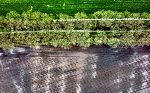 Mezőgazdasági innováció Szegeden